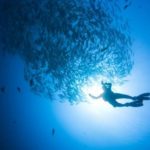 Kurz potápění - dárkový poukaz na zážitek
